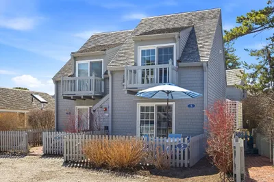 5 Hydrangea Ln #782 1