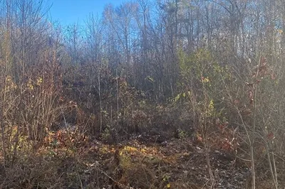 379 Adams Rd