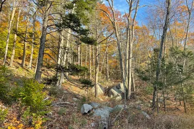 22 Forest Lane