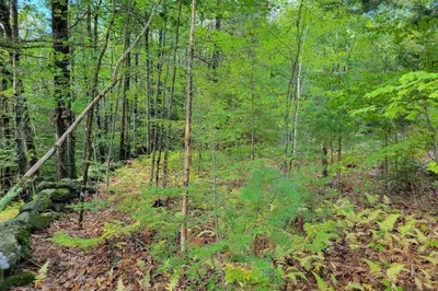 Lot-6 Doyle Avenue 1