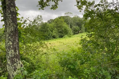 Lot 1 Hunt Rd