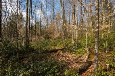 115 Lyon Hill Rd 1