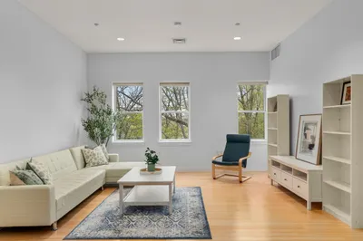 99 Chestnut Hill Avenue #310 1
