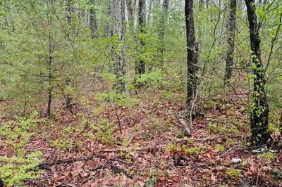 48 Mill Rd Lot 2e Rd
