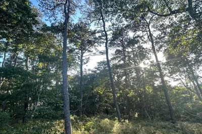 30 Sam Hollow Road 1