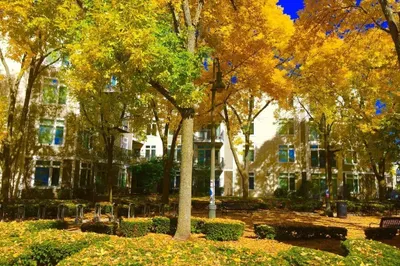 7 Cameron Ave #311