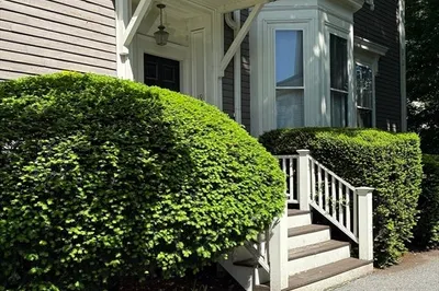 19 Harvard Avenue #2