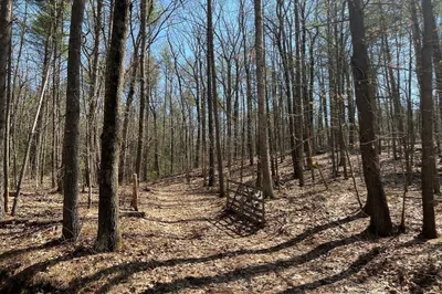 Lot 4, January Hills Road 1