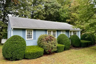 66 Debbie Dr 1