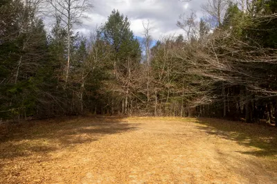 0 Pickerel Close Rd