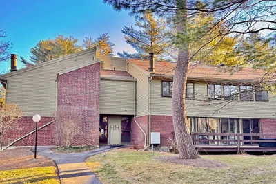 238 Brown Bear Crossing #238 1