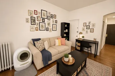1706 Commonwealth Ave #11 1