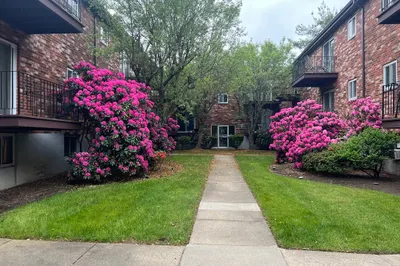 21 Westgate Rd #1