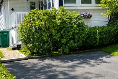 8 Natureway Circle 1