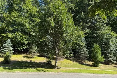 25 Pembroke Ter 1