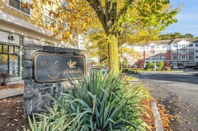 250 Main Street #316 1