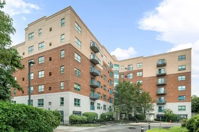 175 Cottage St #515