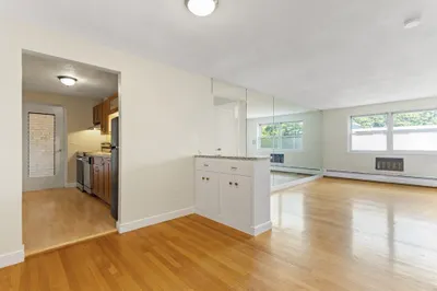 15 Commonwealth Court #14 1