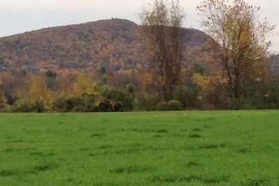 0 Greenfield