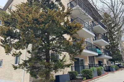 15 Francis St #16 1