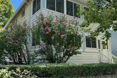 98 Alpine Street #2