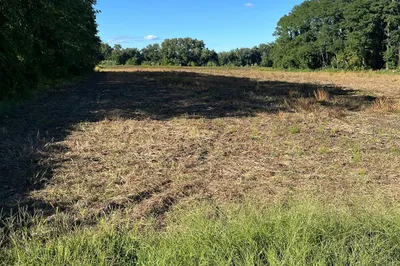 0 North Branch Road 1