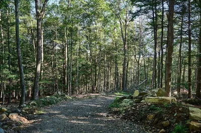 3 Rand Road