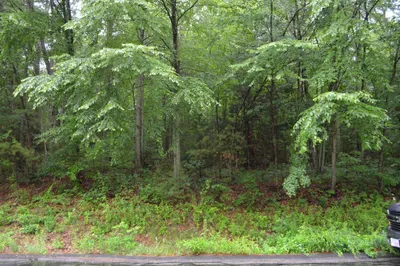 Lot 5 Babcock Tavern Rd 1