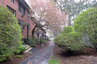 1323 Worcester Rd #H8 1
