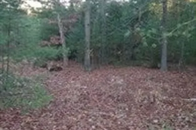 0 Root Rd