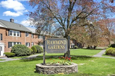 23 Hammond Pond Parkway #2