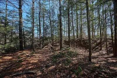 0 Pine Hill