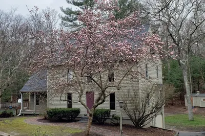 48 Cooke Rd