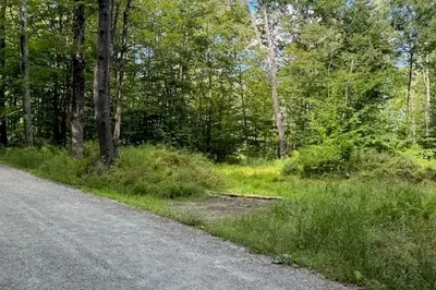 Lot 119 Davis Mine Rd 1