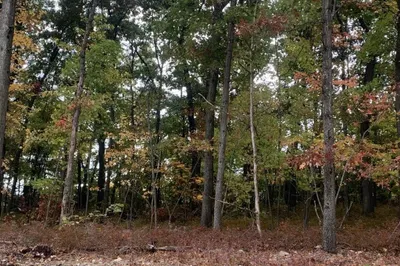 12 Kelley Boulevard (lot 2) Blvd 1