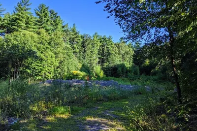 56 Burrage Road 1