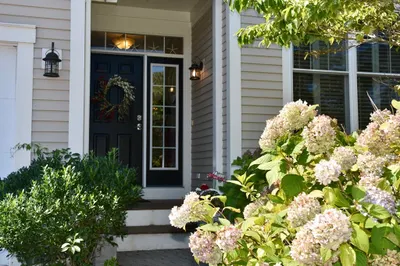 6 Chadwick Ct #6 1