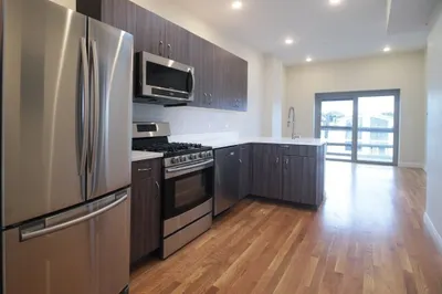 66 Frankfort St #1R