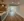 50 Hichborn St #503 Floor 5