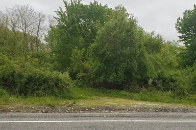 00 Bulgarmarsh Rd 1