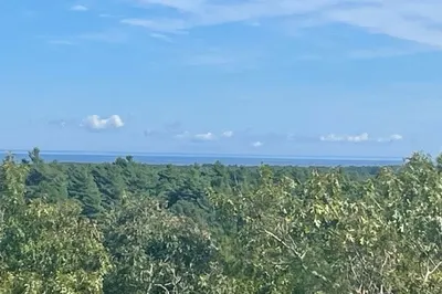 44 Firefly Point #44 1
