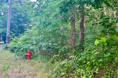 1080 Old Orchard Rd