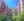 75 Peterborough St #314 Floor 3