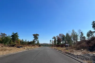 Lot 86 Turning Leaf Rd 1