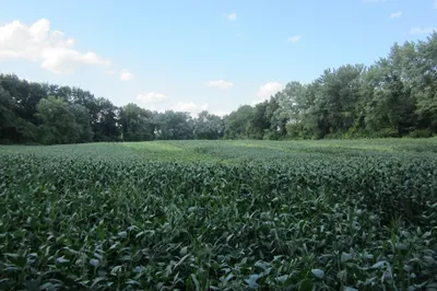 0 Little River Road ( Rear )