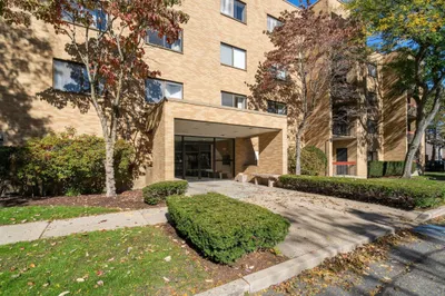 41 Centre St #204 1