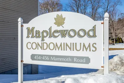 456 Mammoth Road #5