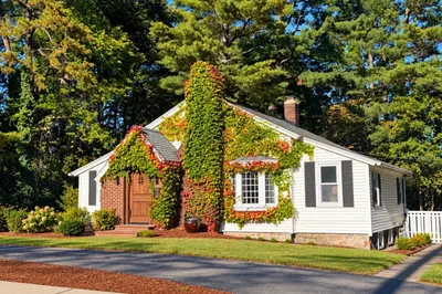 55 Elm Street 1