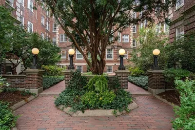 43 Linnaean Street #45