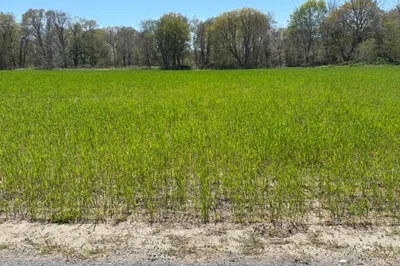 205r Providence St. Bldr. Lot 4 St